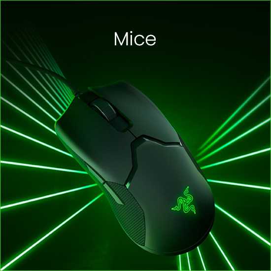 Mice