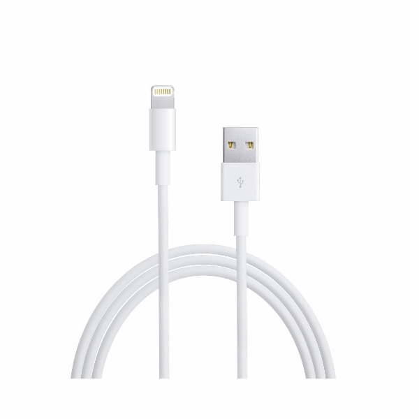 Apple Lightning to USB Cable 1m