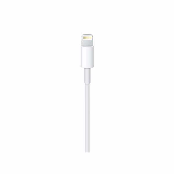 Apple USB-C to Lightning Cable 1m