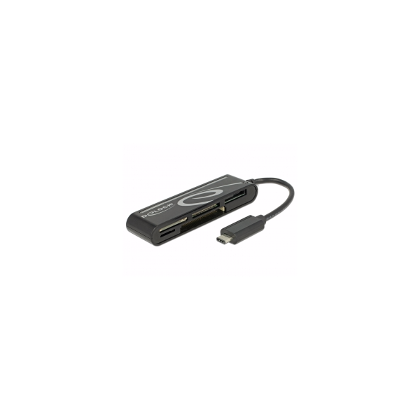 Delock USB C Memory Card Reader