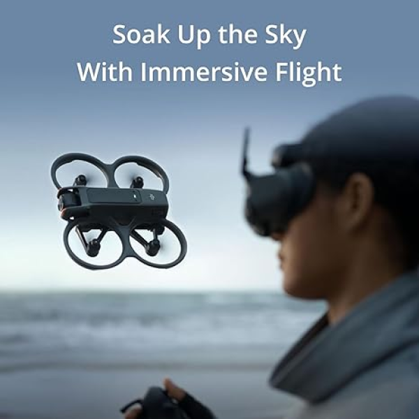 immersive flight control