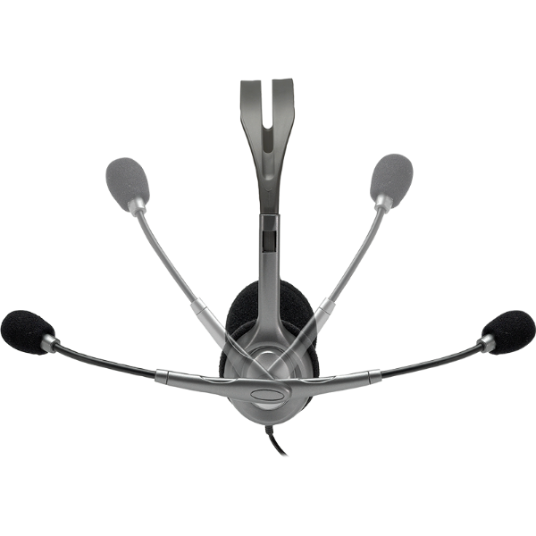 Logitech H110 Stereo Headset